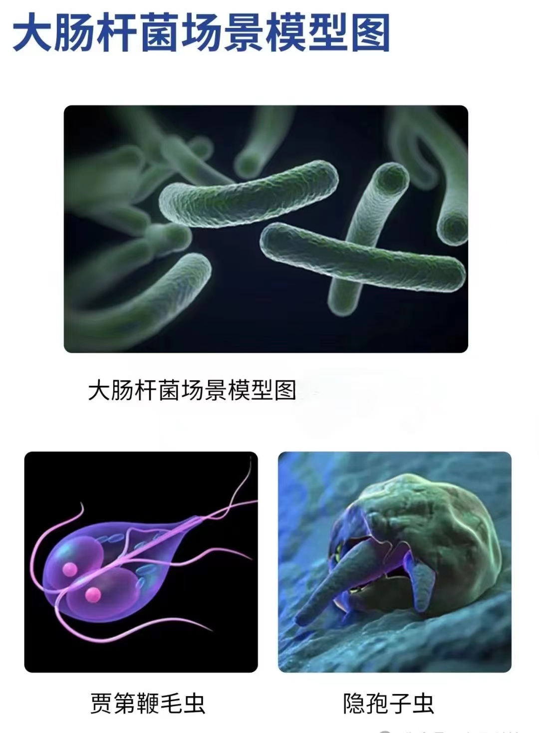 新品上(shàng)市：一體式低(di)量程激光濁(zhuó)度計