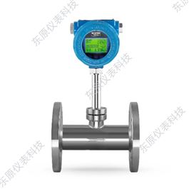 DYWRC-DN50熱式氣體(tǐ)質量流量(liàng)計